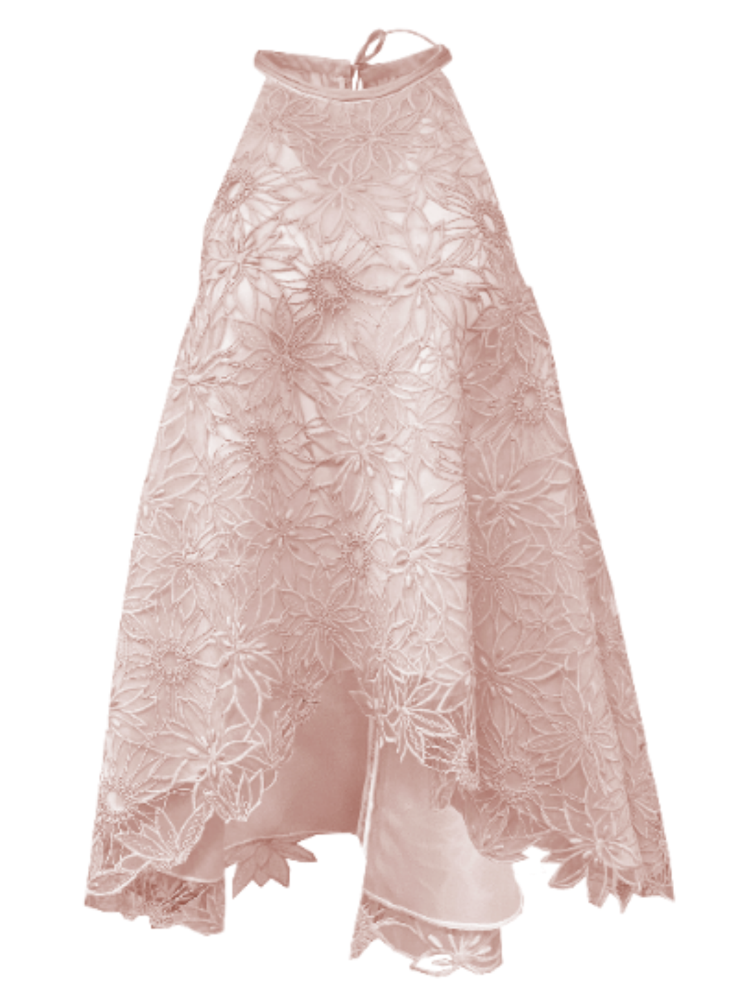 Lace Floral Halter Blouse in Blush Lace & Julia Sleeveless Lace Dress