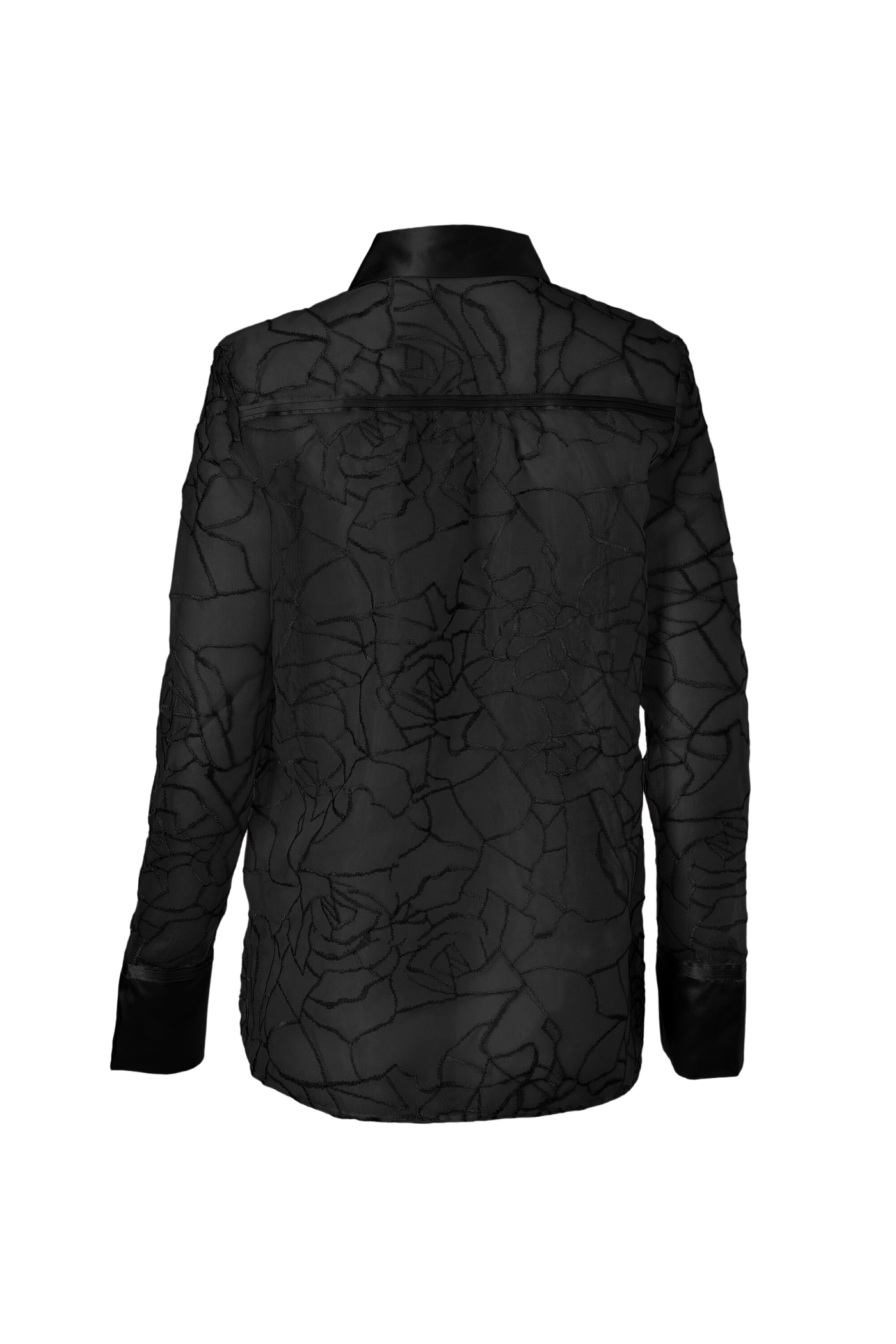 Transparent Modern Blouse In Black